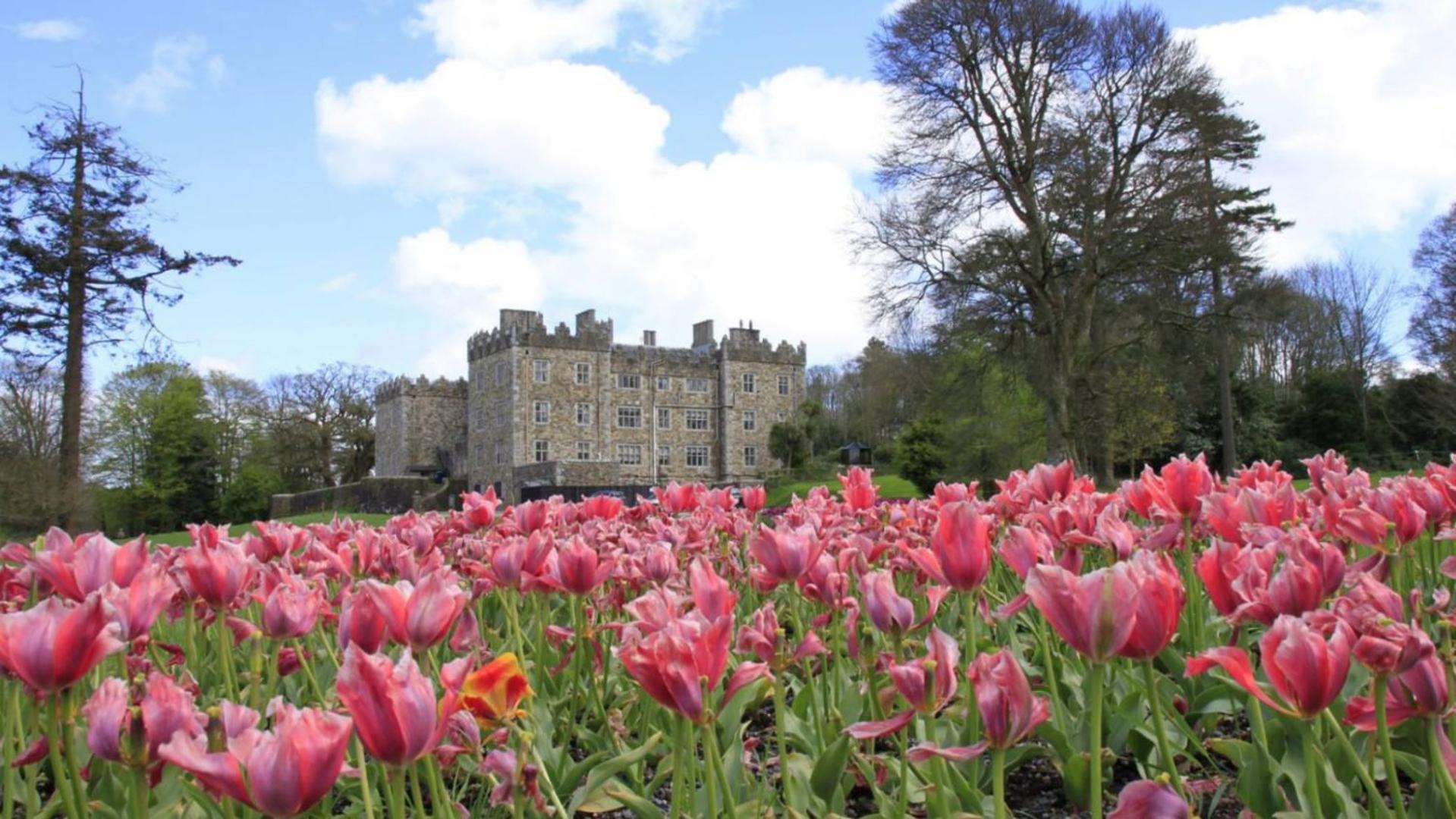 Waterford Castle Hotel Lodges Dış mekan fotoğraf